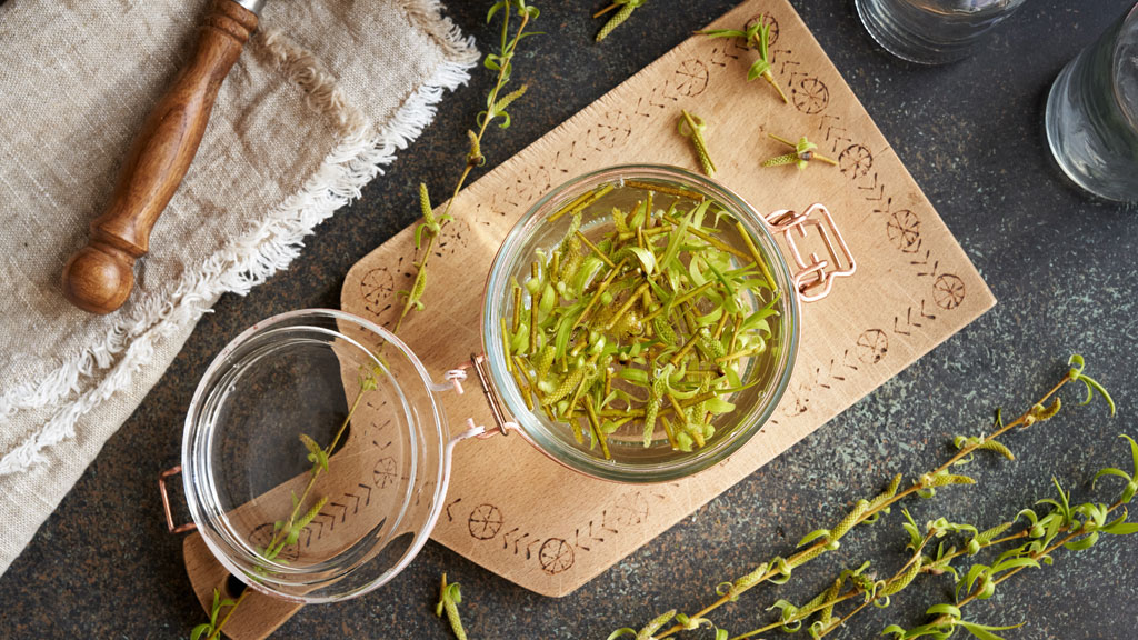 Flacons de macérats de bourgeons ambrés sur étagère en bois herboristerie naturelle